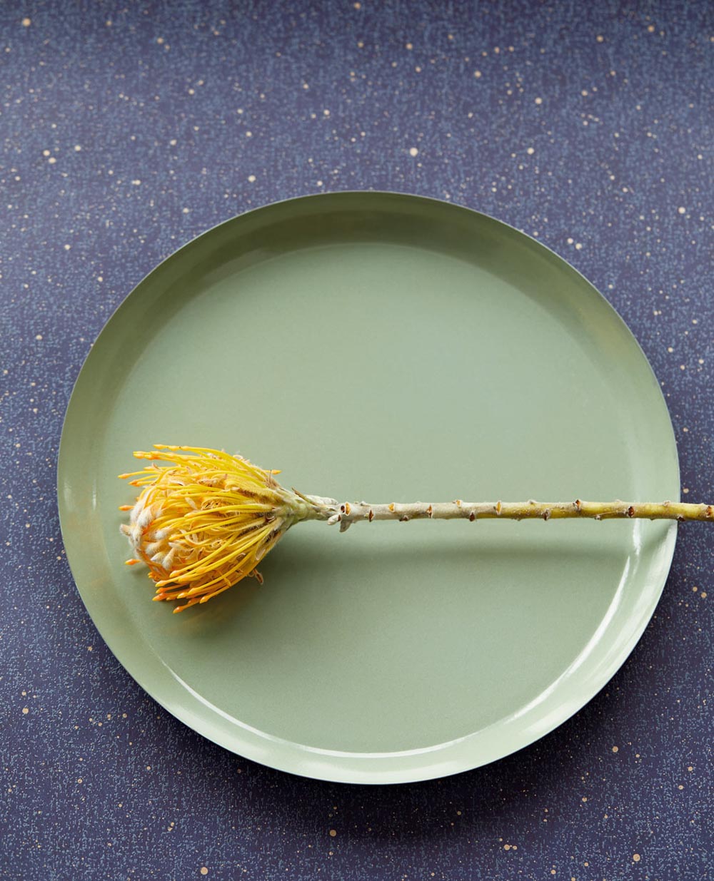 Unify VE333226 Wallpaper