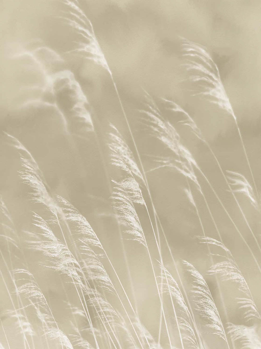 Waterfront VE300900 Mural