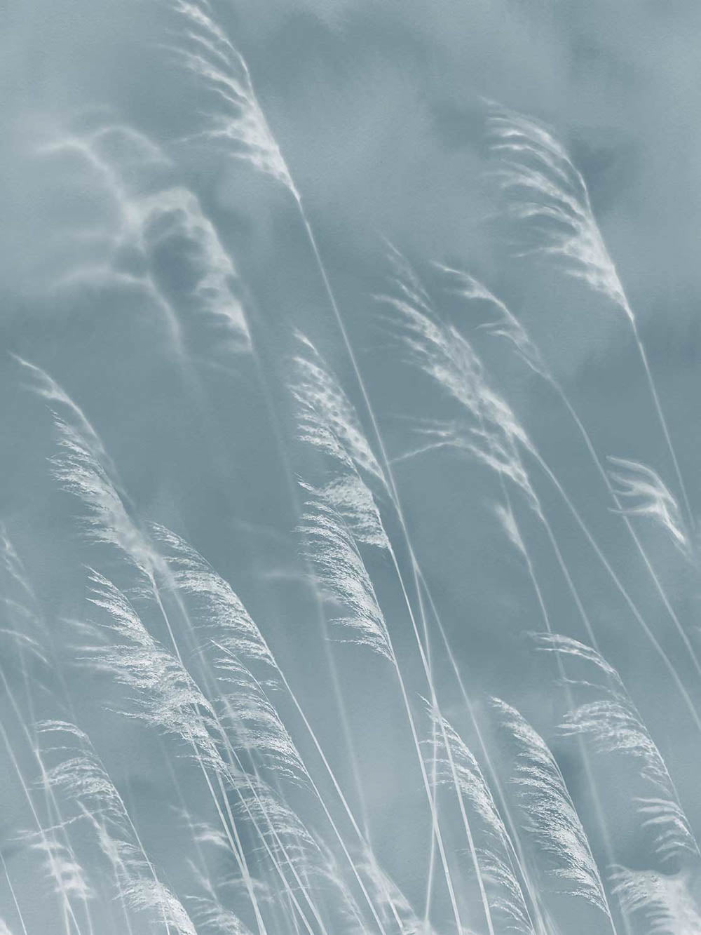 Waterfront VE300902 Mural