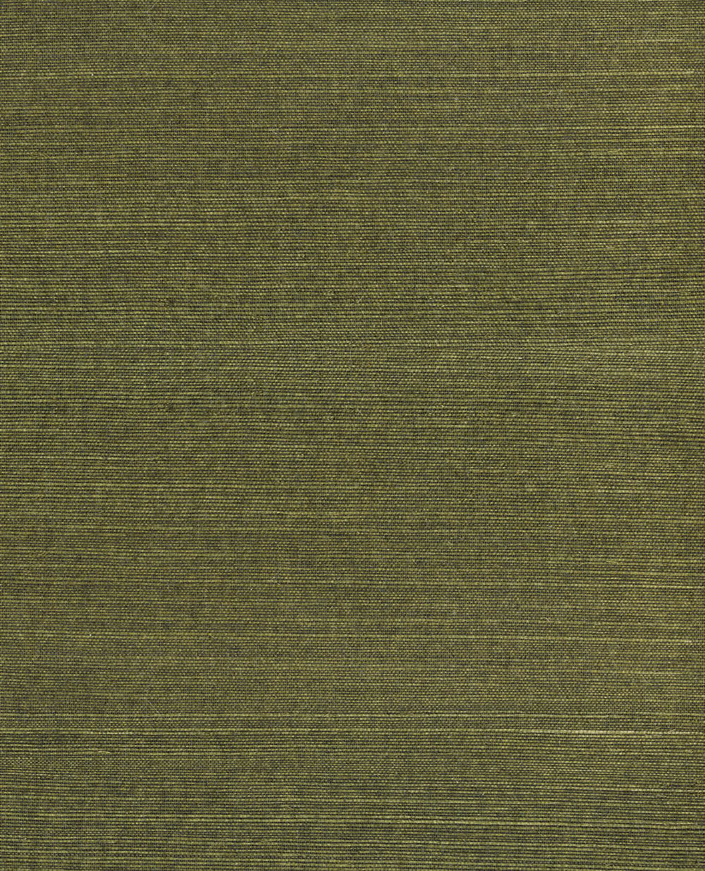 Natural Wallcoverings III VE303501 Grasscloth