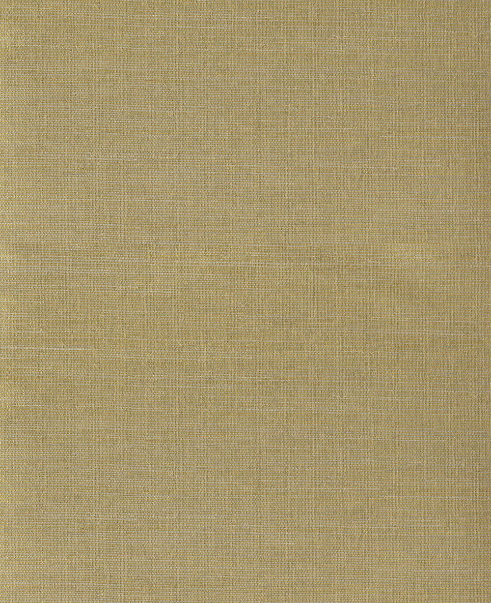 Natural Wallcoverings III VE303504 Grasscloth