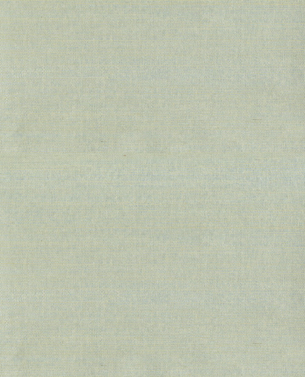 Natural Wallcoverings III VE303509 Grasscloth