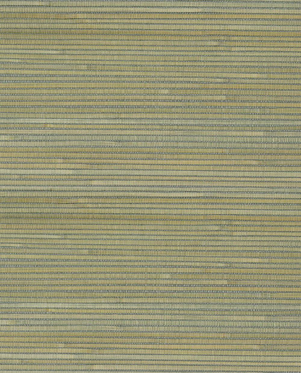 Natural Wallcoverings III VE303511 Grasscloth