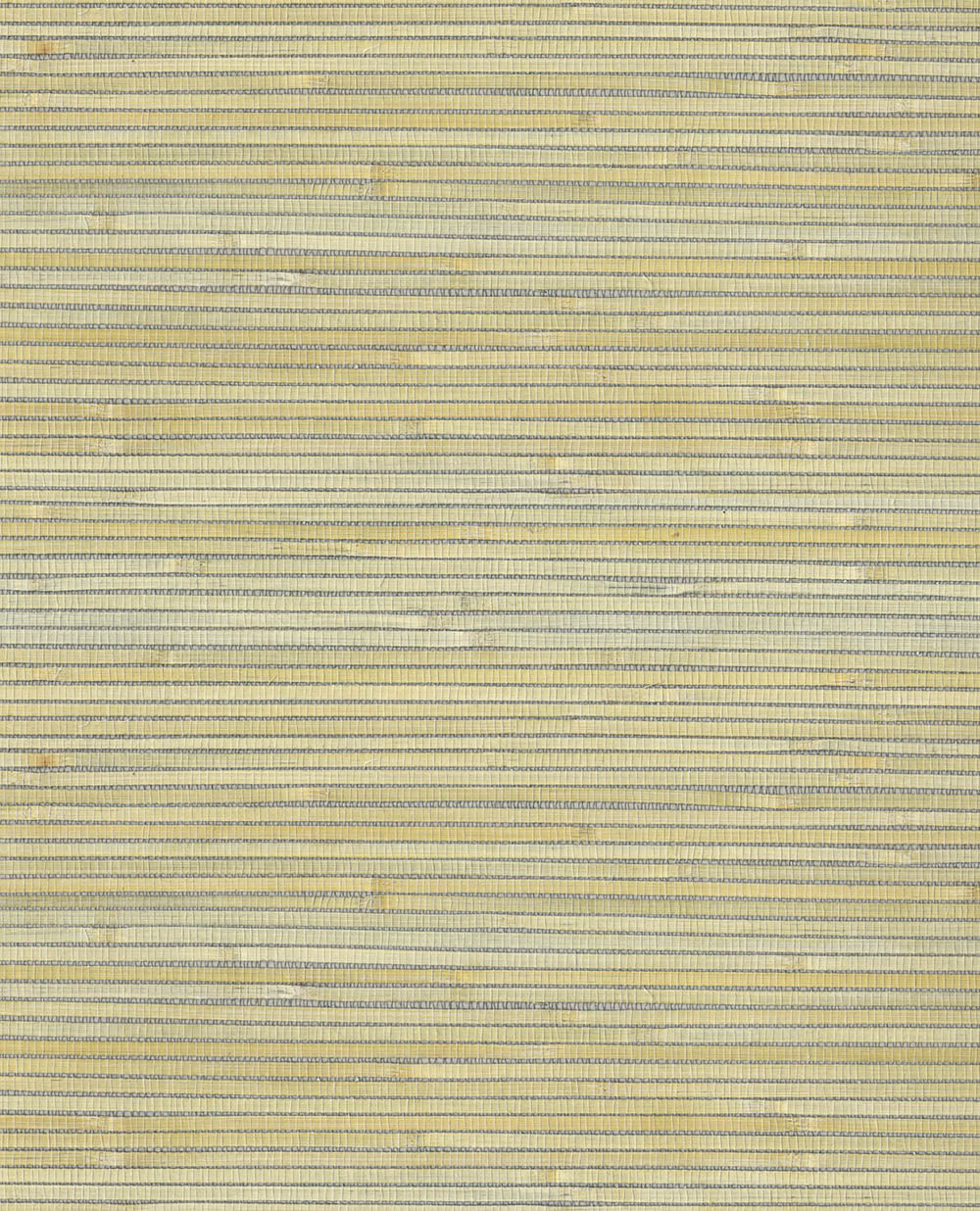 Natural Wallcoverings III VE303519 Grasscloth