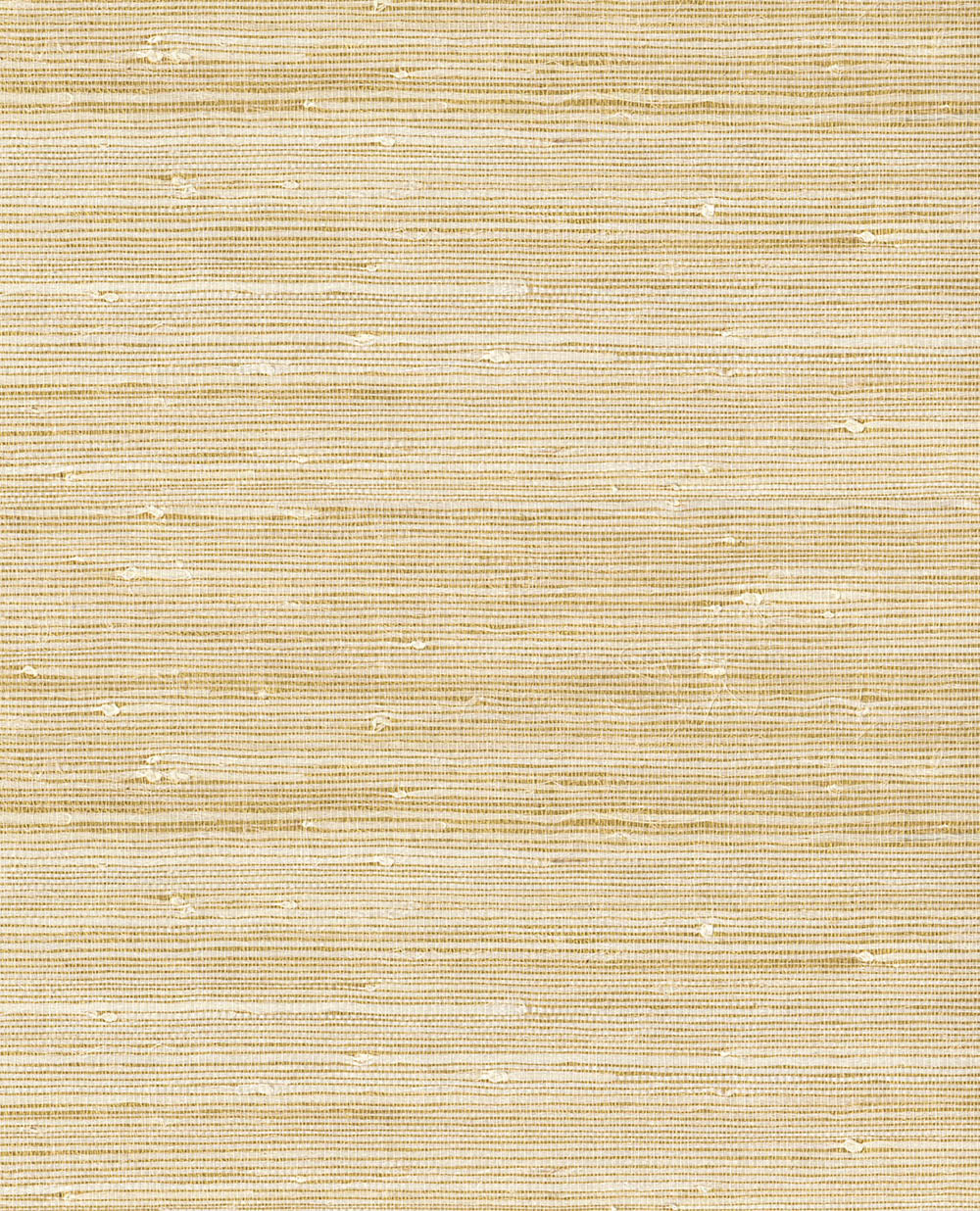 Natural Wallcoverings III VE303535 Grasscloth