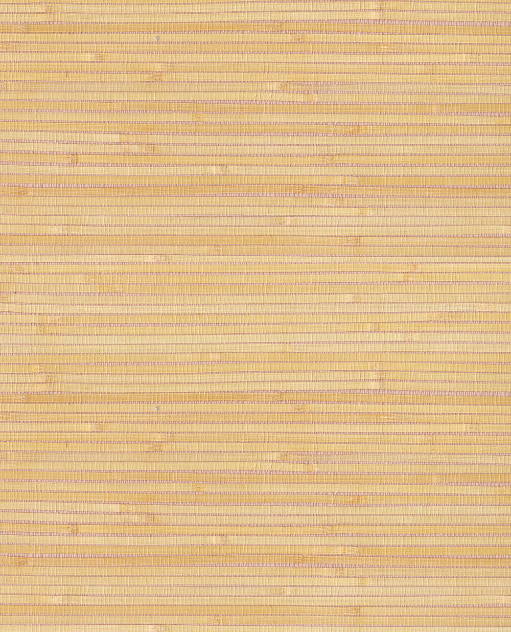 Natural Wallcoverings III VE303548 Grasscloth