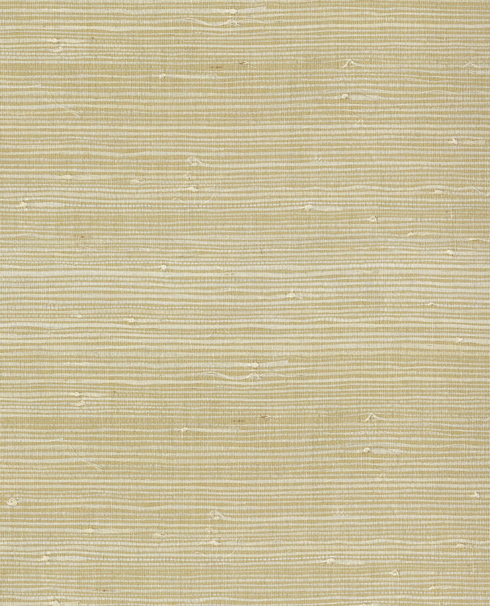 Natural Wallcoverings III VE303560 Grasscloth