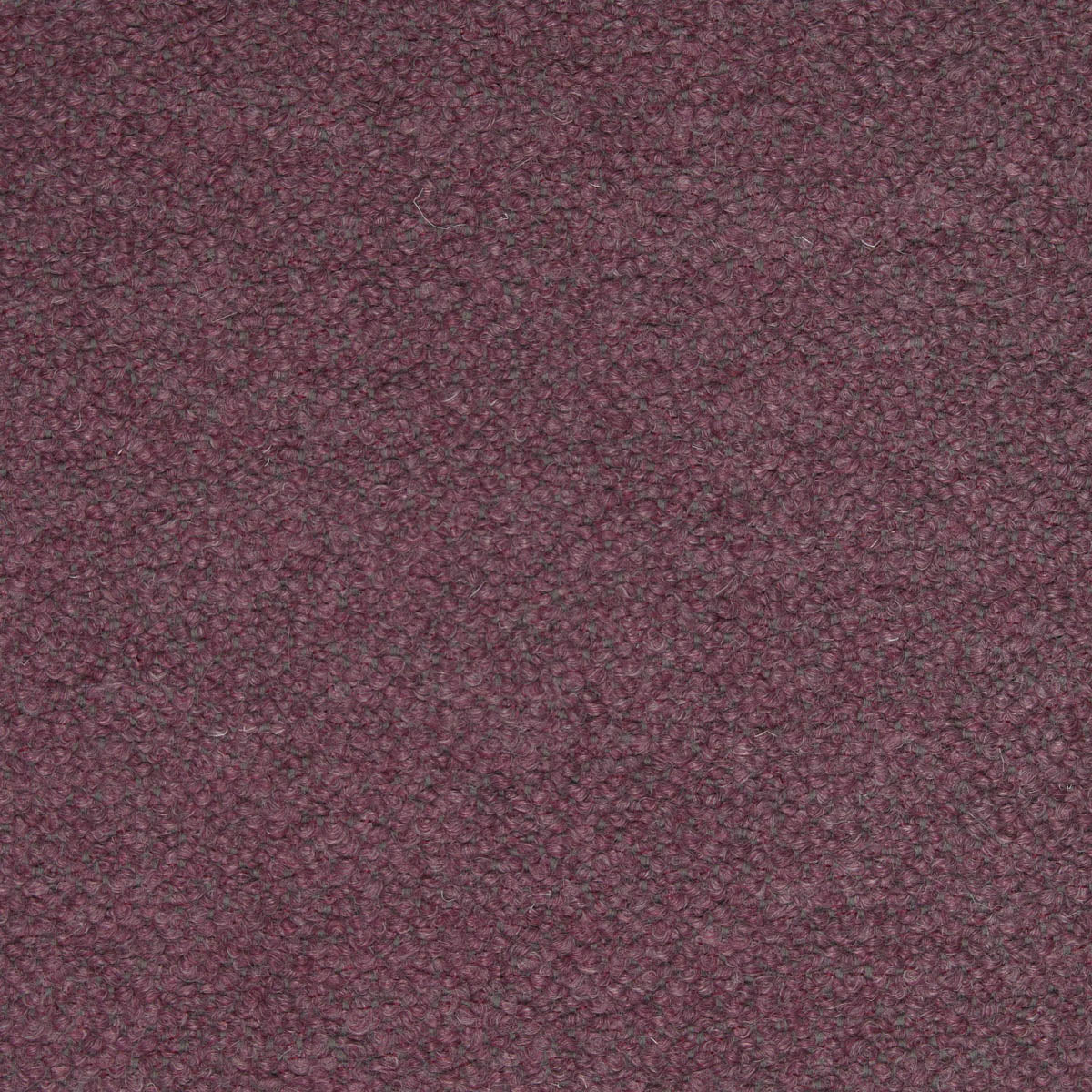 Barnum 17 Boucle upholstery fabric