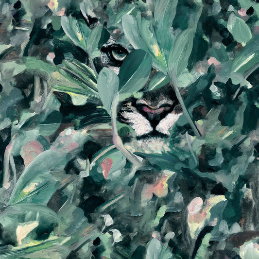 Hidden Puma Wallpaper