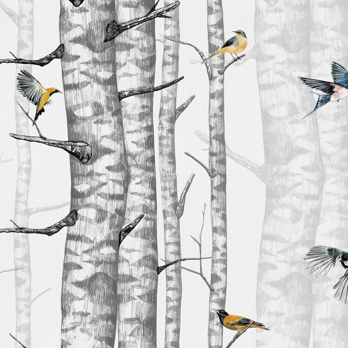 Birch Trees Wallpaper