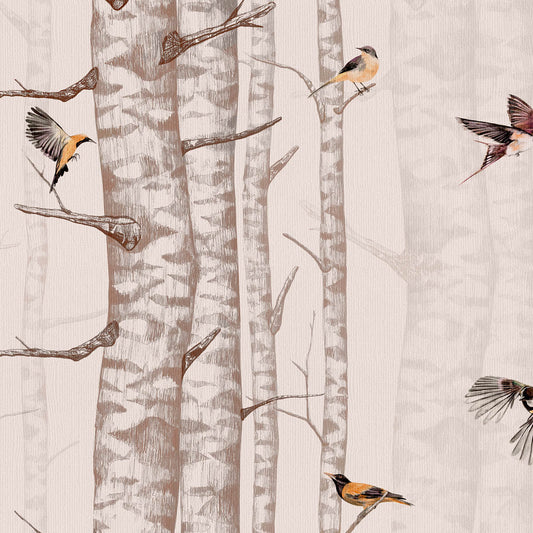 Birch Trees Wallpaper