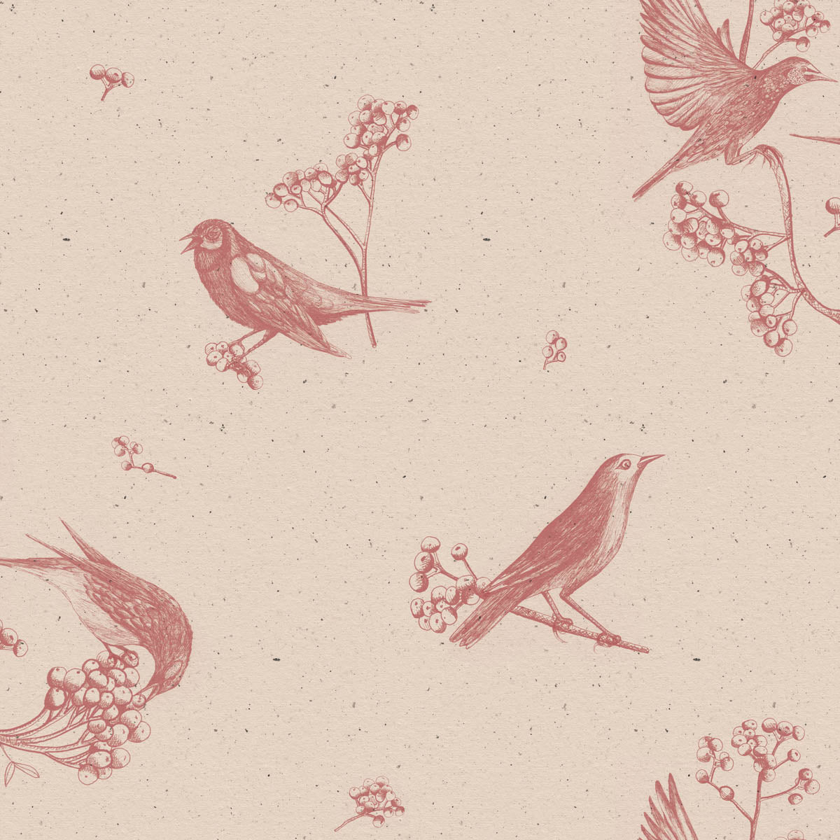 Sweet Birds Wallpaper