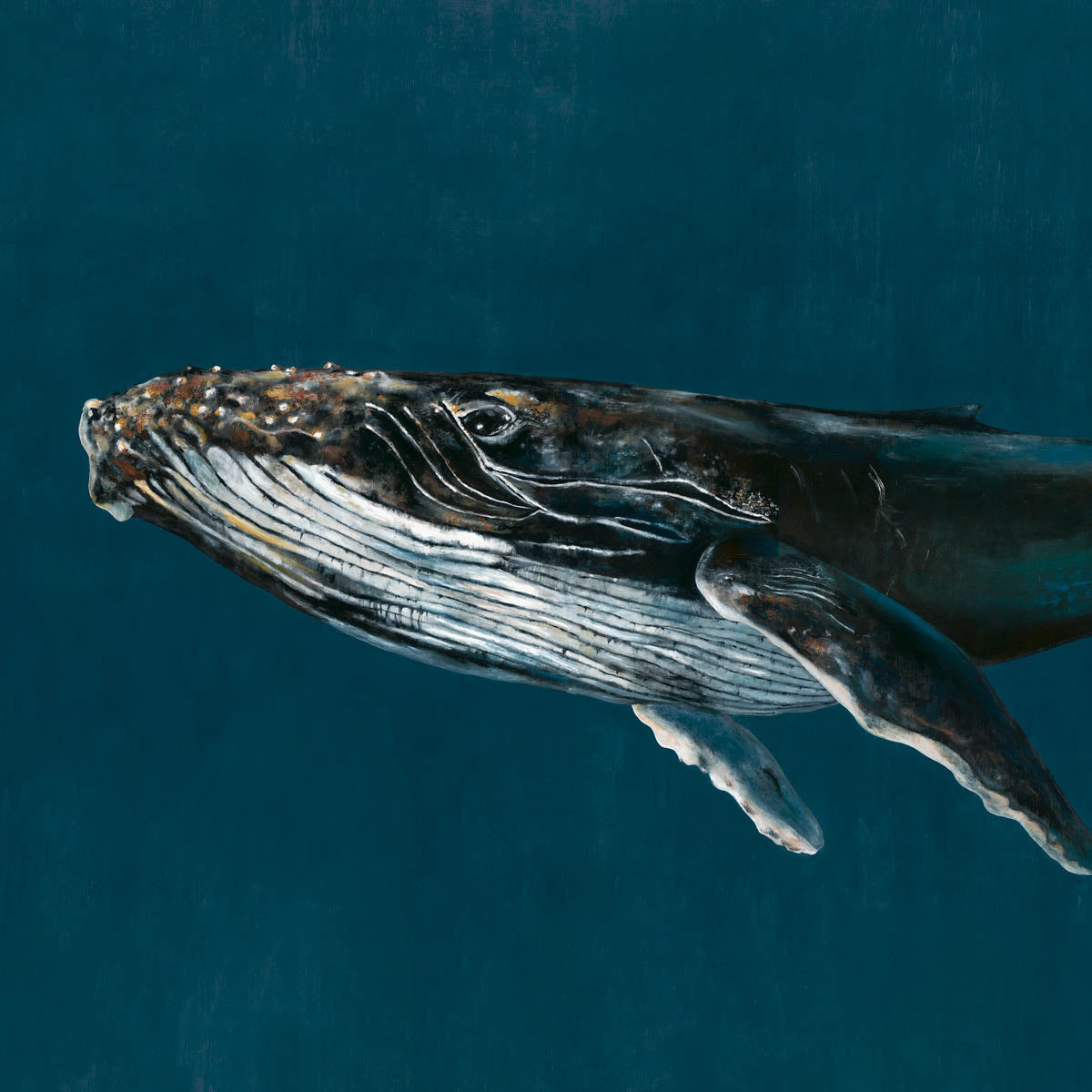 Humpback Whale Mural