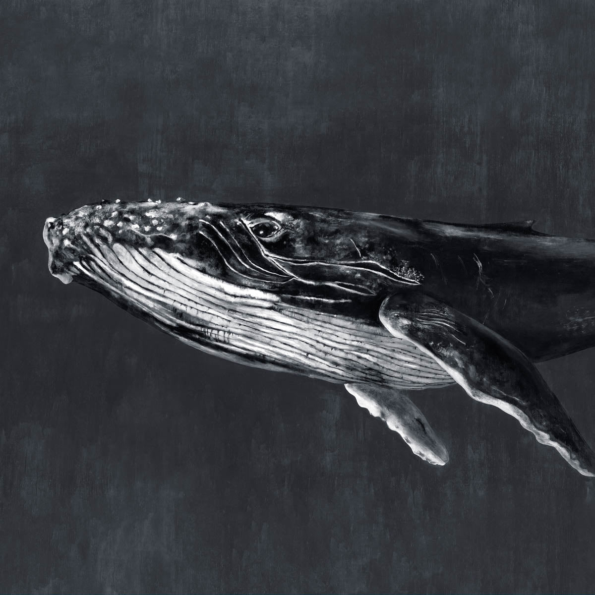 Humpback Whale Mural