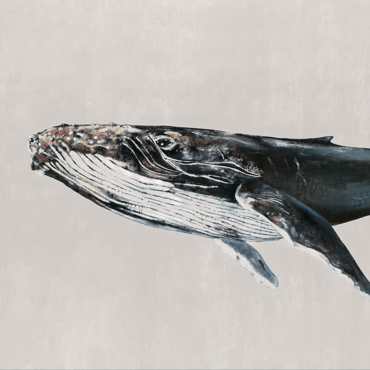 Humpback Whale Mural