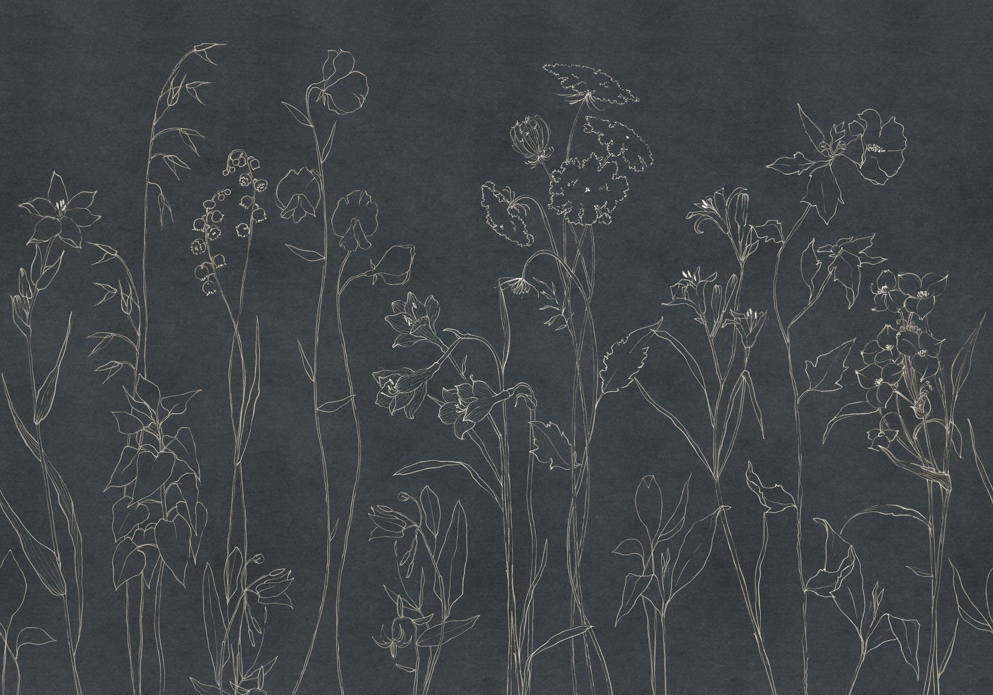 VCB00366 Countryside Mural