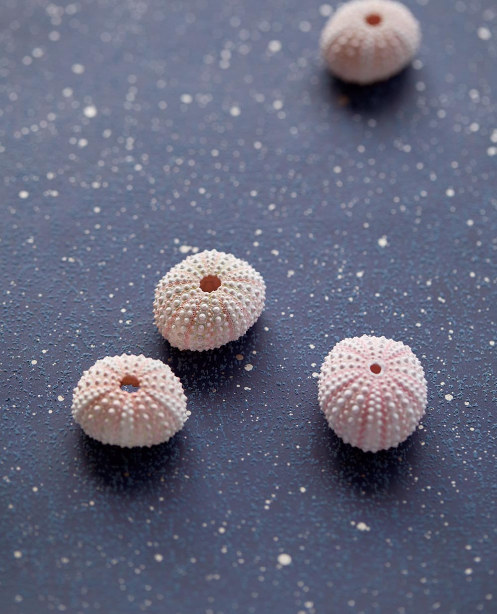 Unify VE333226 Wallpaper