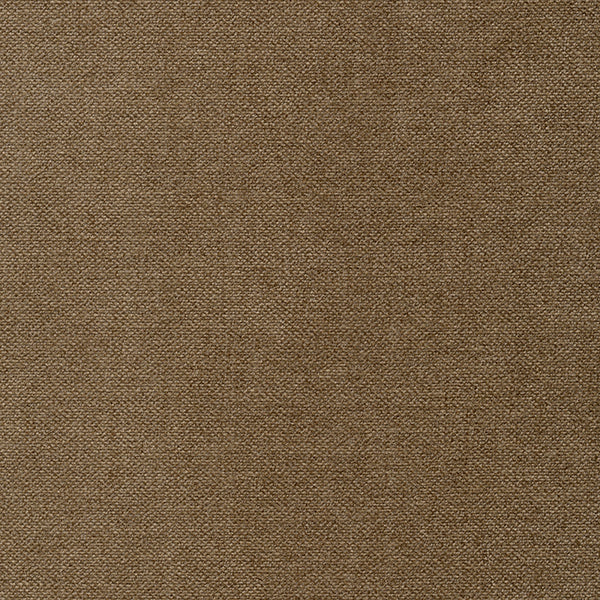 Velvety 10 Upholstery Fabric