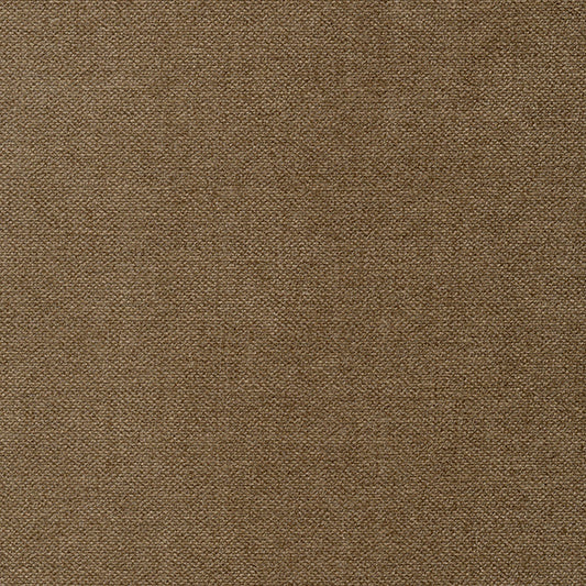 Velvety 10 Upholstery Fabric