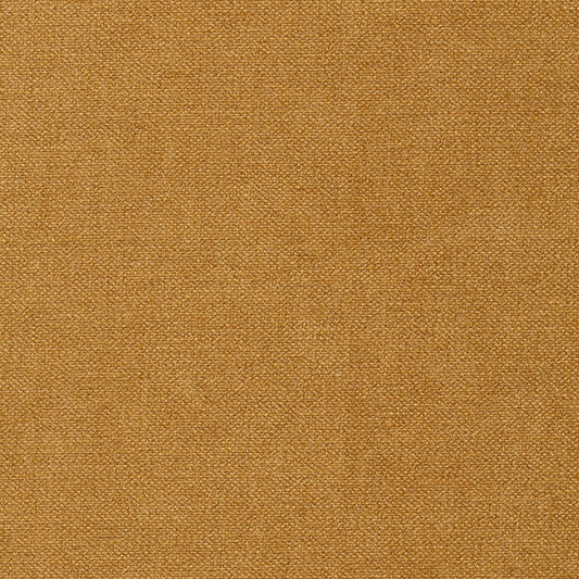 Velvety 20 Upholstery Fabric