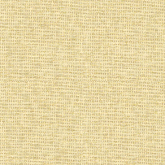 Piece Unique VC9100017 Grasscloth Wallpaper