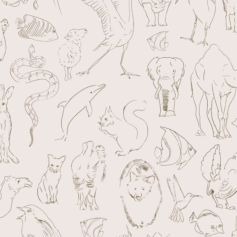 Zoology VC9700180 Wallpaper