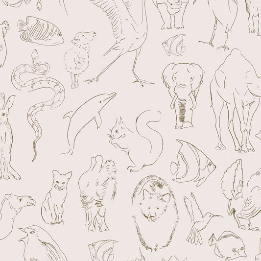 Zoology VC9700180 Wallpaper