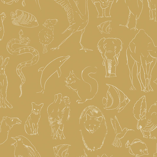 Zoology VC9700182 Wallpaper