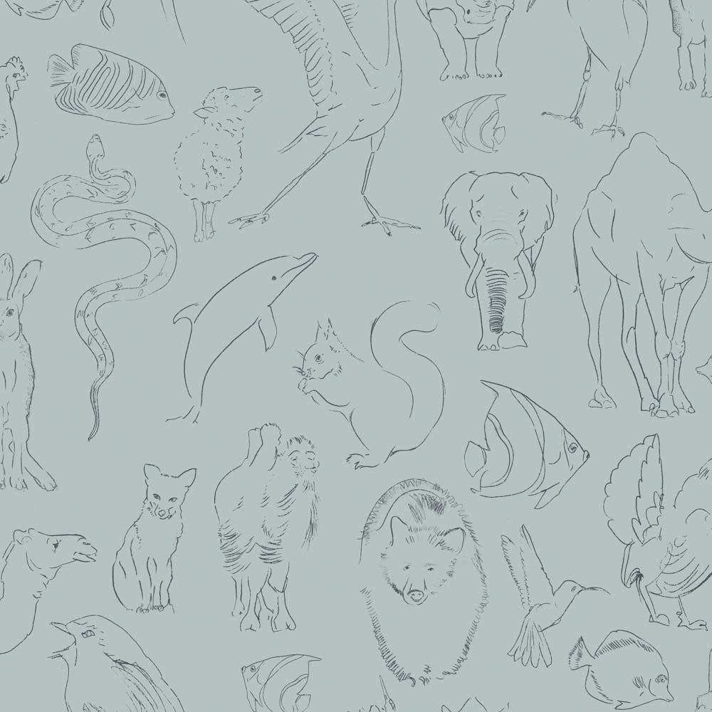 Zoology VC9700184 Wallpaper