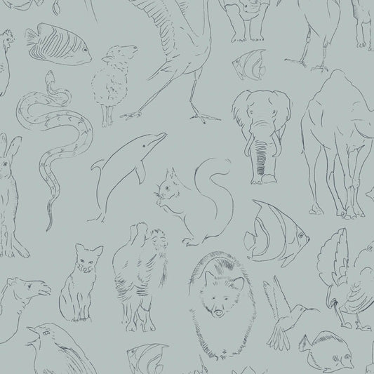 Zoology VC9700184 Wallpaper