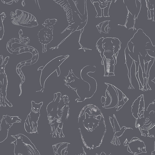 Zoology VC9700185 Wallpaper