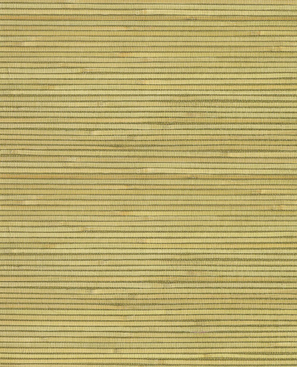 Natural Wallcoverings III VE303500 Grasscloth