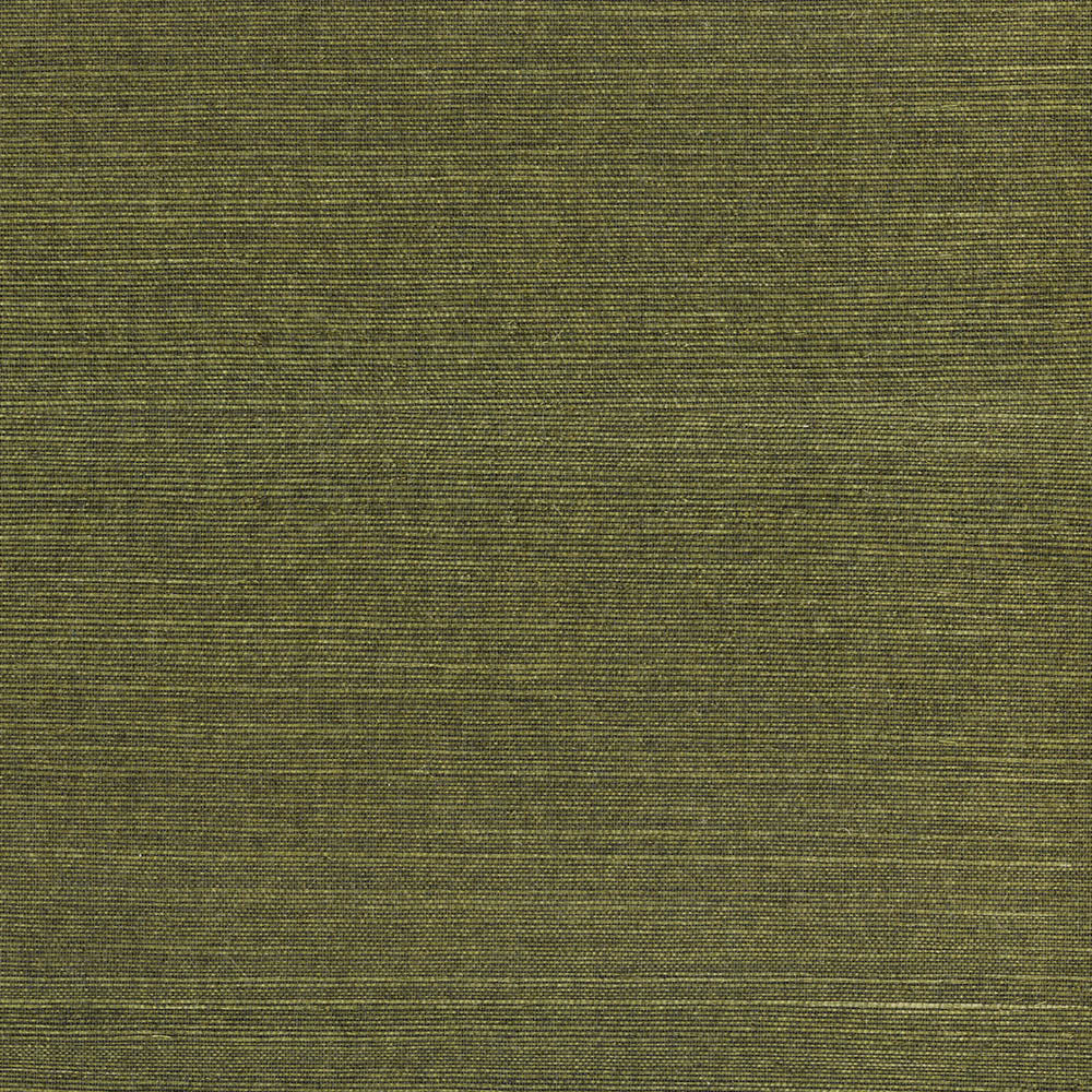 Natural Wallcoverings III VE303501 Grasscloth