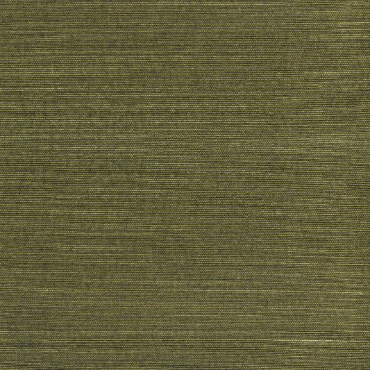 Natural Wallcoverings III VE303501 Grasscloth