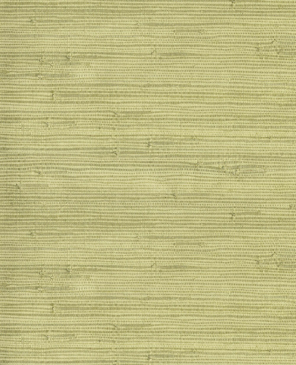 Natural Wallcoverings III VE303502 Grasscloth