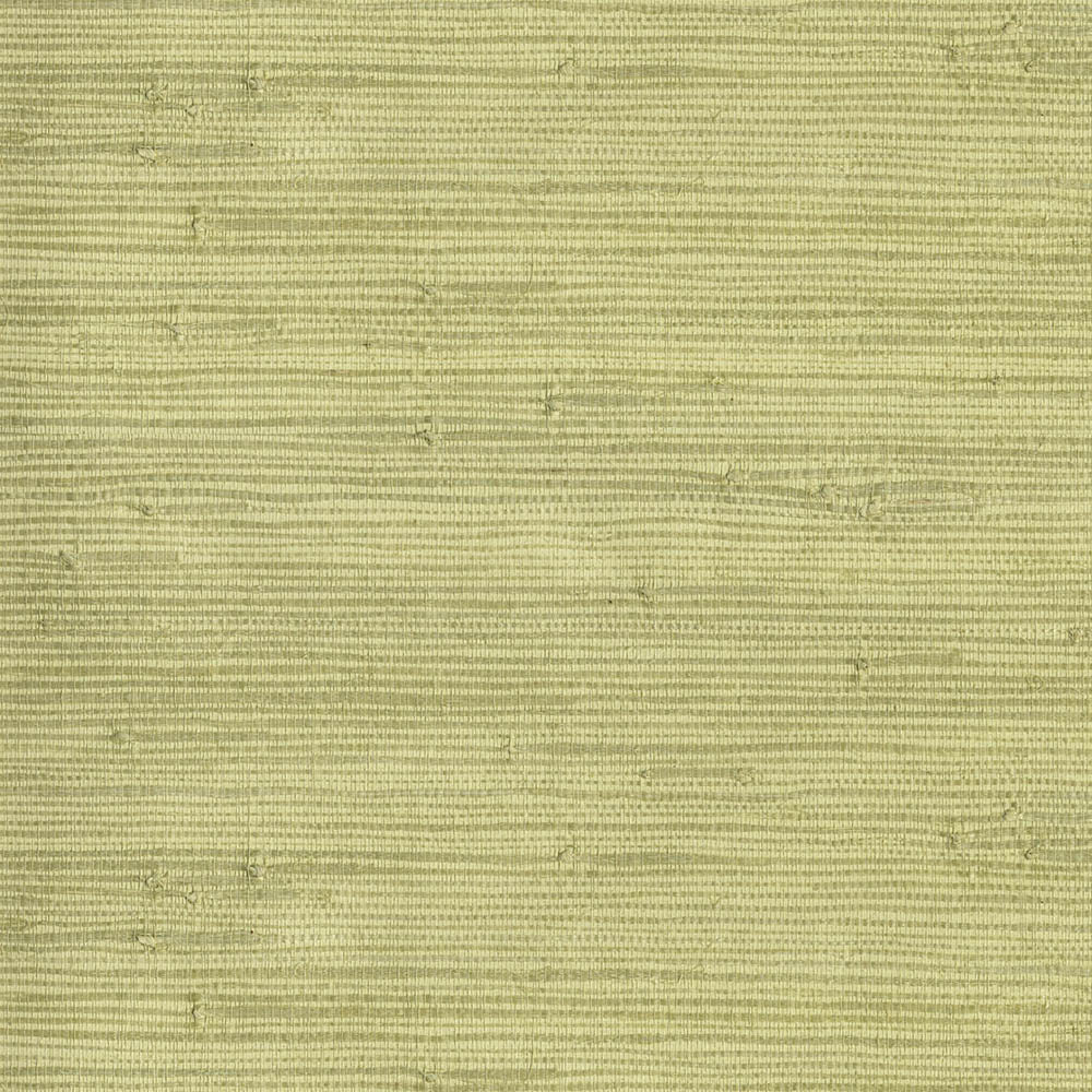 Natural Wallcoverings III VE303502 Grasscloth