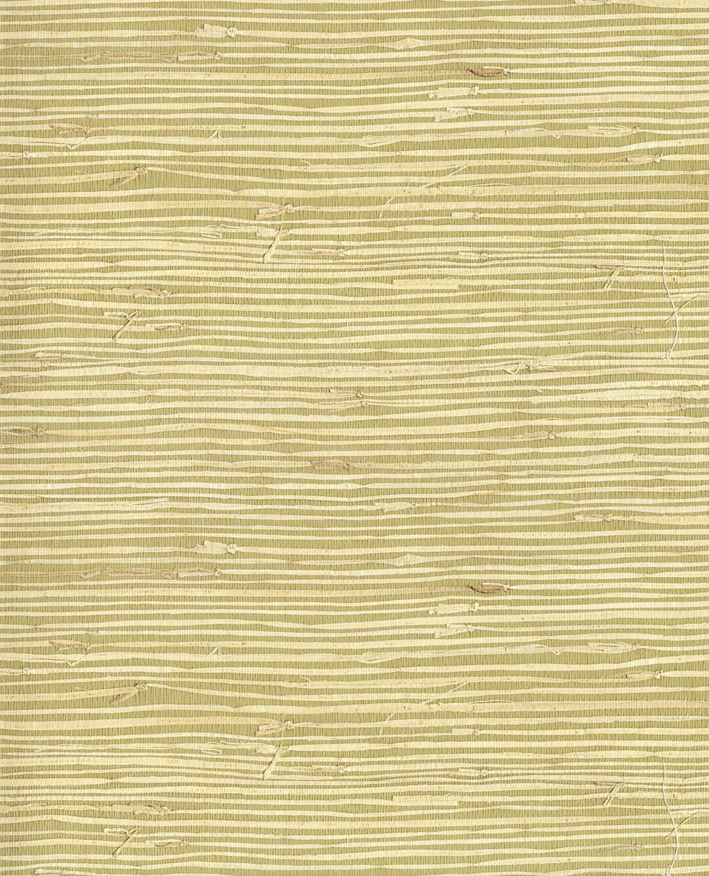 Natural Wallcoverings III VE303503 Grasscloth