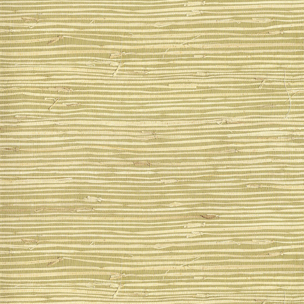 Natural Wallcoverings III VE303503 Grasscloth