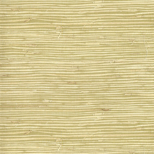 Natural Wallcoverings III VE303503 Grasscloth