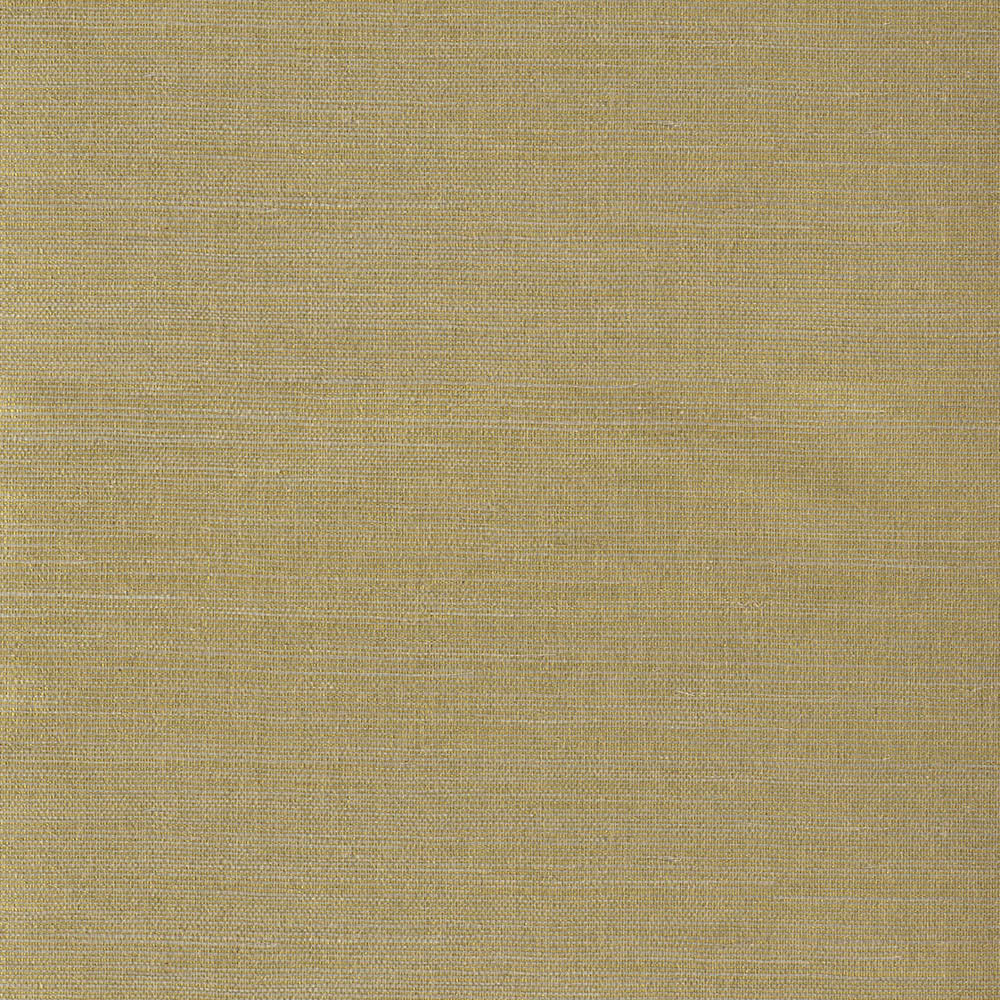 Natural Wallcoverings III VE303504 Grasscloth