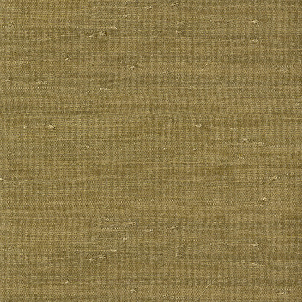 Natural Wallcoverings III VE303505 Grasscloth