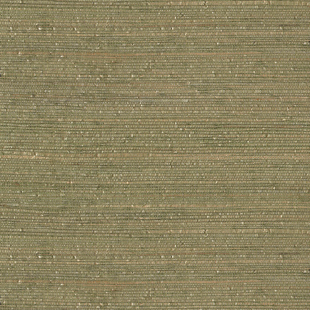 Natural Wallcoverings III VE303507 Grasscloth