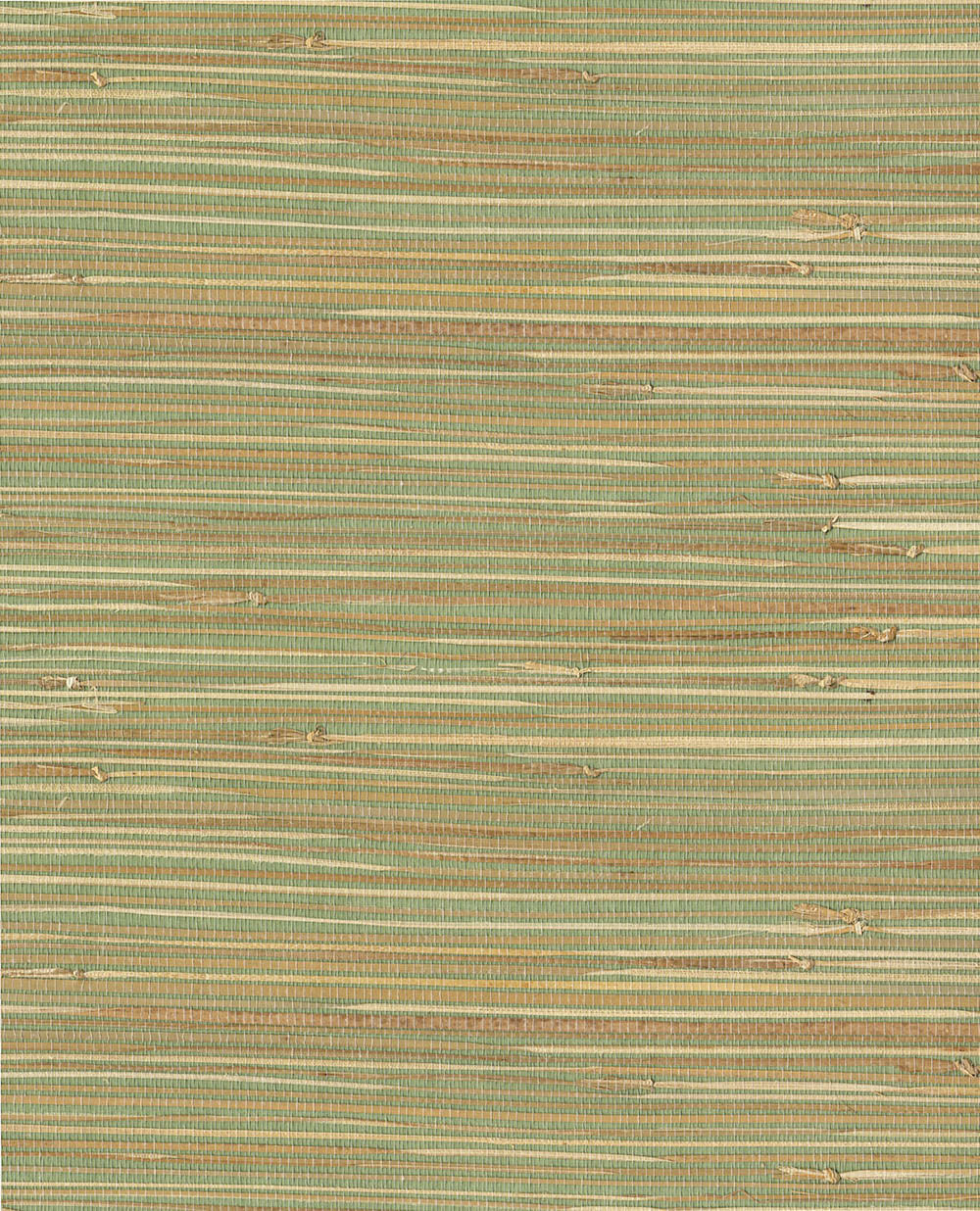 Natural Wallcoverings III VE303508 Grasscloth