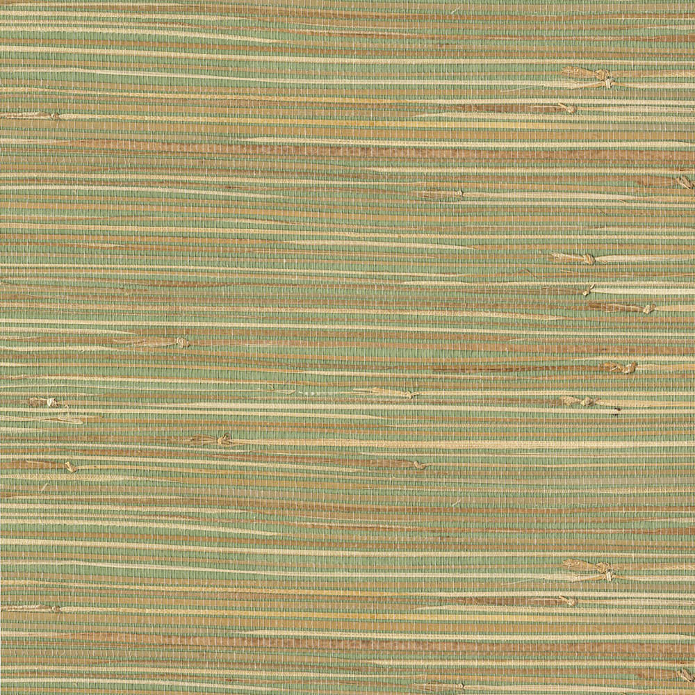 Natural Wallcoverings III VE303508 Grasscloth