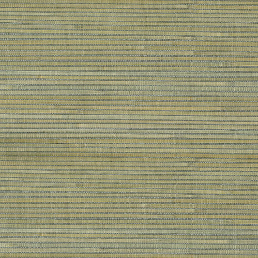 Natural Wallcoverings III VE303511 Grasscloth