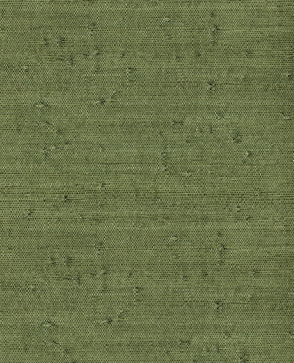 Natural Wallcoverings III VE303514 Grasscloth