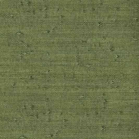 Natural Wallcoverings III VE303514 Grasscloth