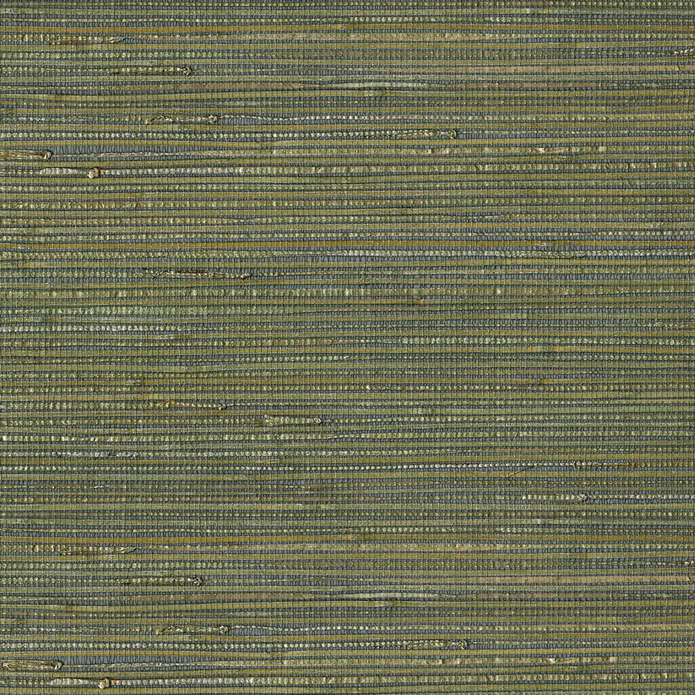 Natural Wallcoverings III VE303515 Grasscloth