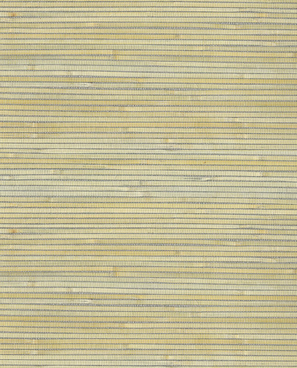 Natural Wallcoverings III VE303519 Grasscloth