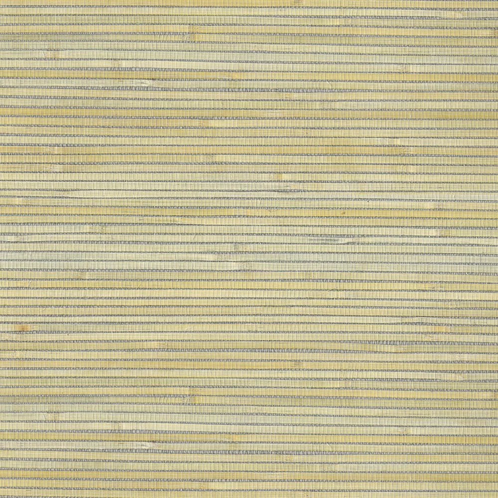 Natural Wallcoverings III VE303519 Grasscloth